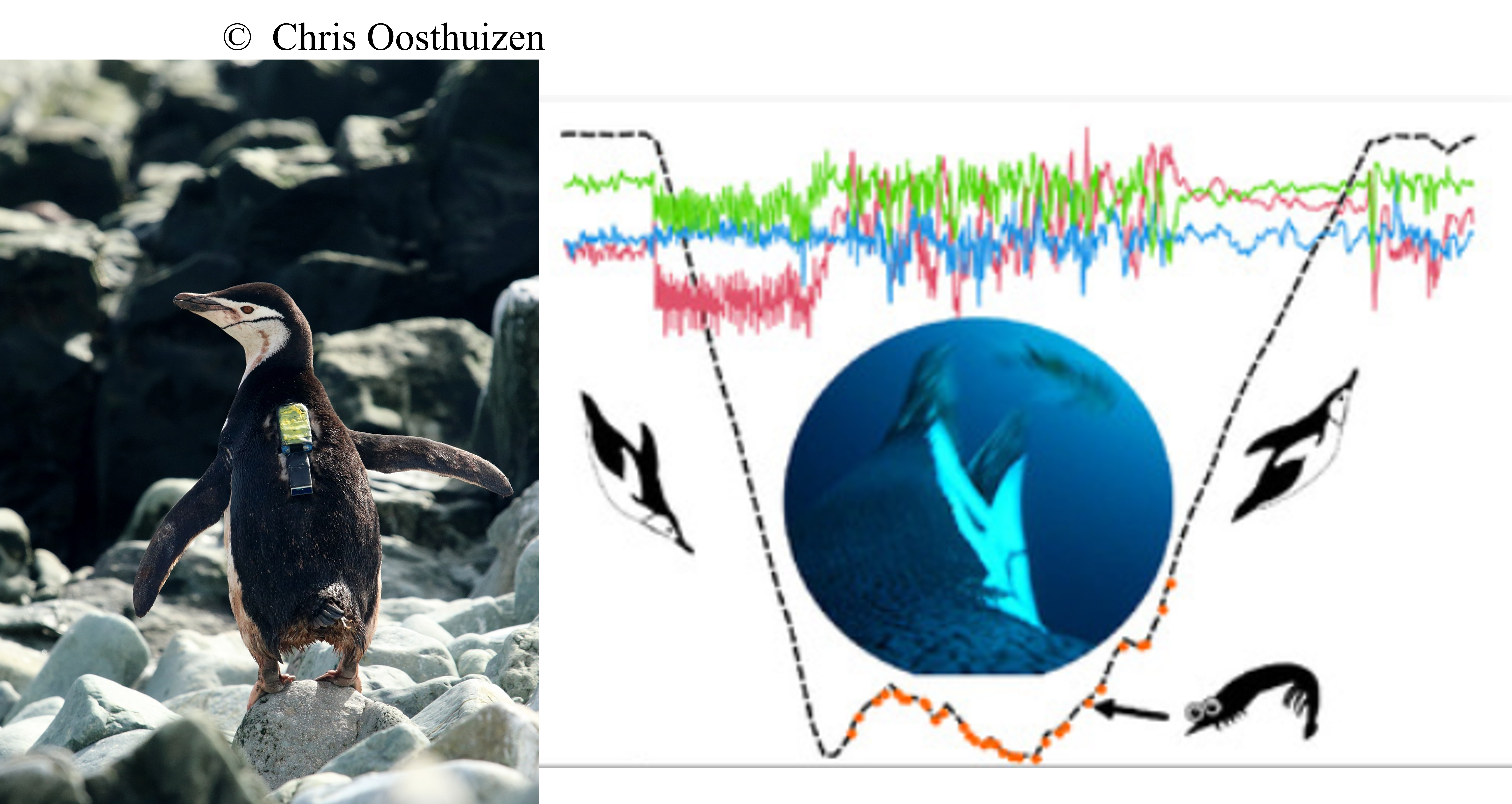 Preview image for 2024 Publications