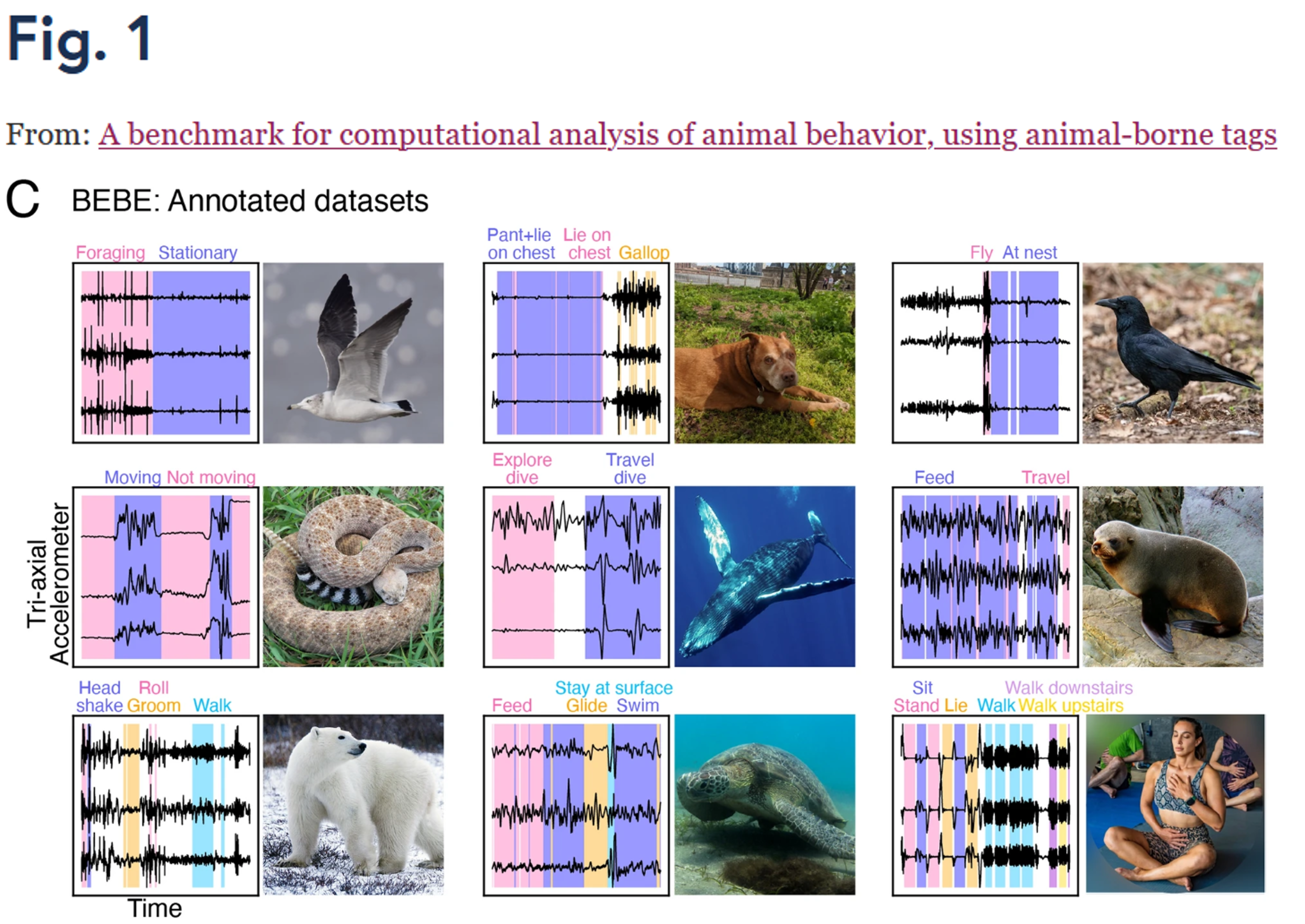 Preview image for 2024 Publications